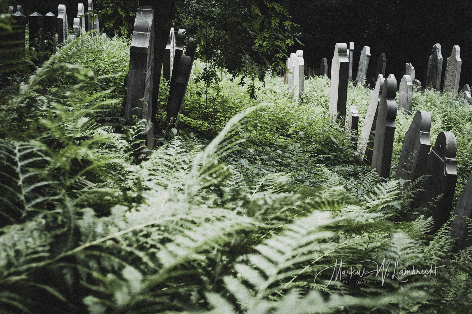 Bückeburg, Jüdischer Friedhof
